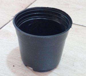 گلدان پلاستیکی مخصوص گلخانه