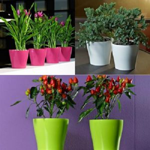 گلدان پلاستیکی ارزان اصفهان