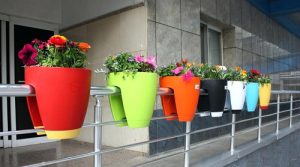 خرید گلدان پلاستیکی خورجینی