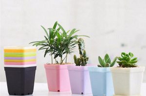 قیمت جدید گلدان پلاستیکی