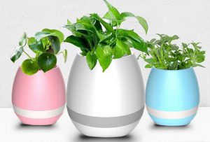 گلدان پلاستیکی گلخانه ای